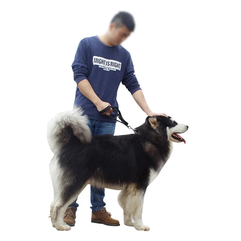 Тактический Военный нейлоновый поводок для дрессировки собак 1000D армии США