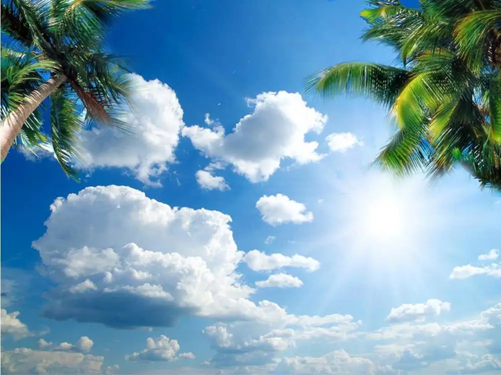 Фотообои потолочные 3D-обои с изображением белых облаков кокосового дерева обои