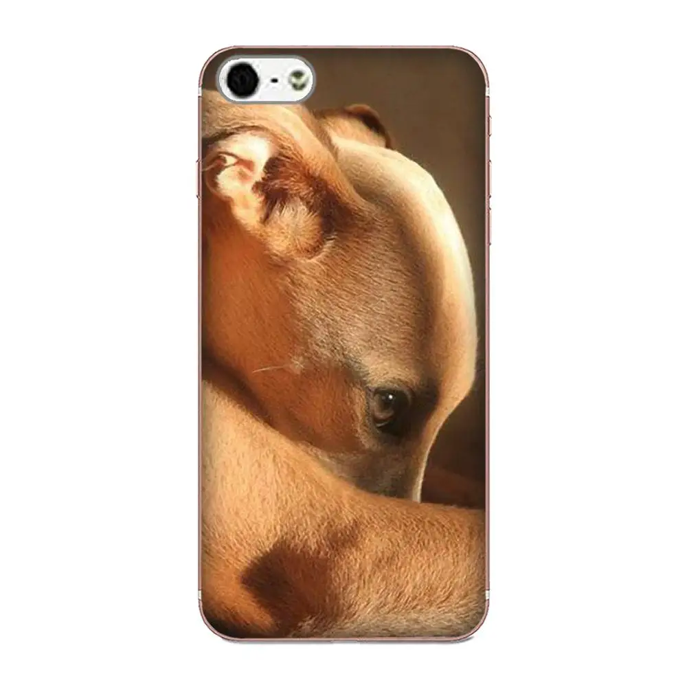 Galgo Greyhound Dog Для Huawei Mate 7 8 9 10 20 P8 P9 P10 P20 P30 Lite Plus Pro 2017 TPU Live Love Phone|Чехлы-накладки| |