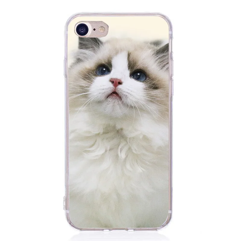 Mobile Phone Bag Silicone For Coque iPhone 8 plus 5 5S SE 6 6S 7 Plus 10 X Cat Case Lion |