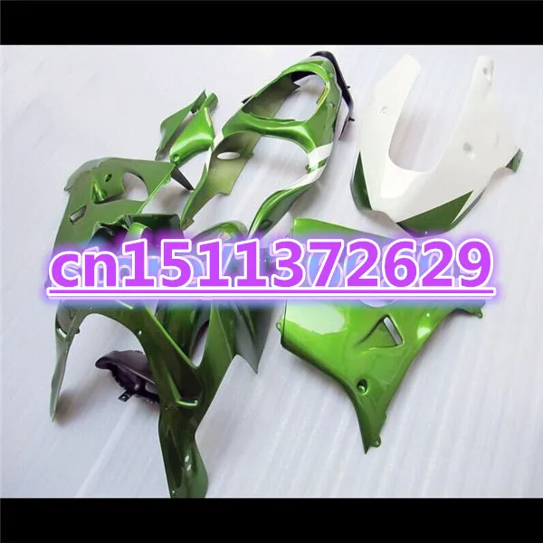 

NEW ABS Motorcycle Fairing kit for KAWASAKI Ninja ZX-9R 00-01 ZX9R green full ZX 9R 00 01 2000 2001 Fairings set-Dor D