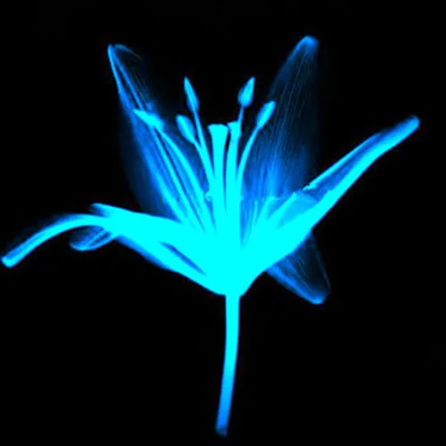 Супер ярко светится в темноте на окружающую среду флюоресцентным порошком