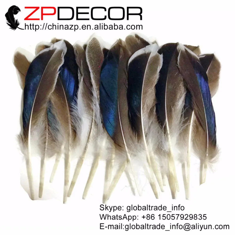 ZPDECOR 10-15 см 100 шт./лот красивый узор Радужный синий микс Кряква утка крыло оптовая
