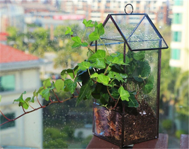 Подвесные стеклянные домашние контейнеры цветочный горшок для растений теплицы