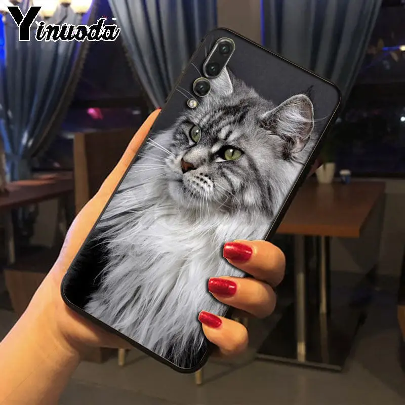 Yinuoda pet maine coon cat черный мягкий силиконовый чехол для телефона huawei p20 pro p20lite mate10pro nova