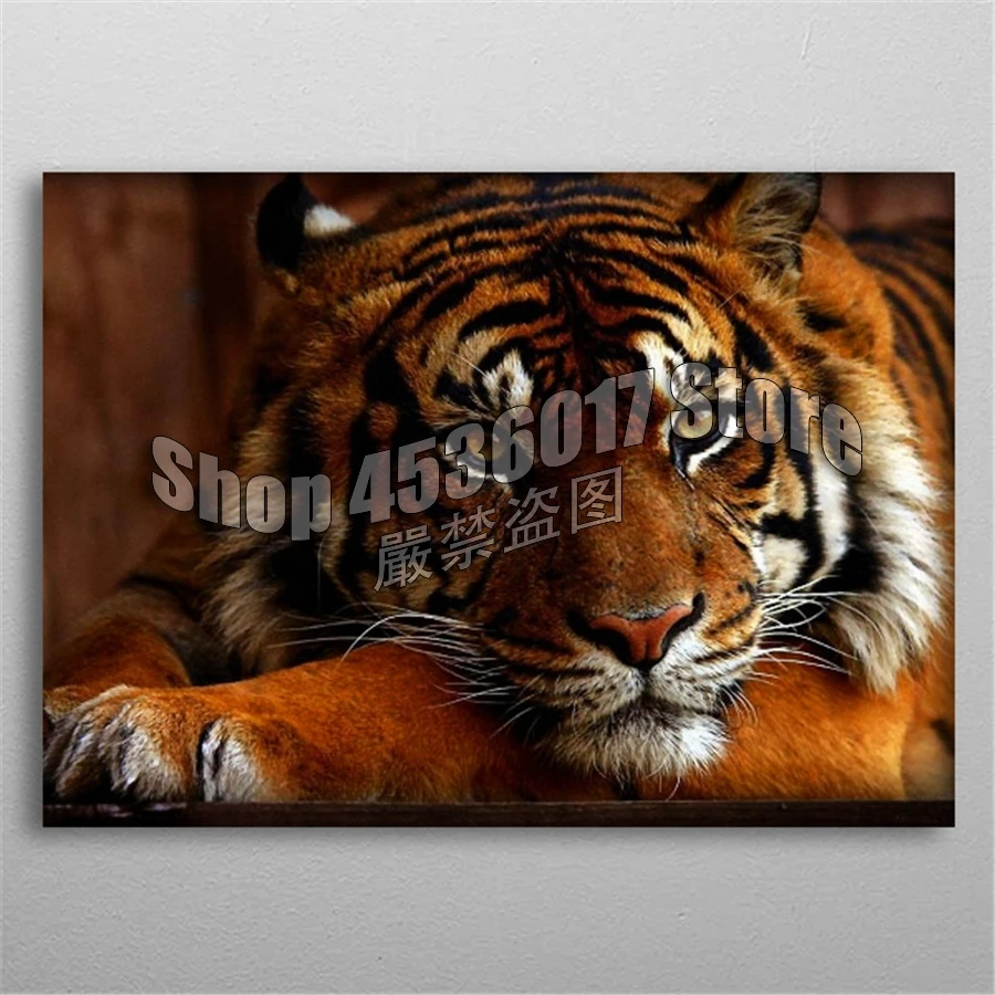 

Animals 5d Diy Diamond Painting Cross Stitch Diamond Embroidery Tiger Diamond Mosaic Full Rhinestone Wall Stickers Home Decor