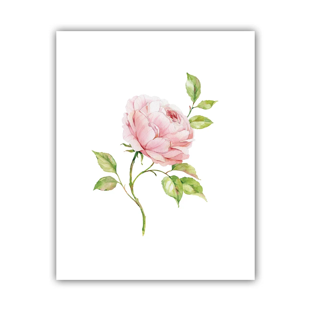 Красивые Акварельные Цветы розовые картины на холсте настенные абстрактные