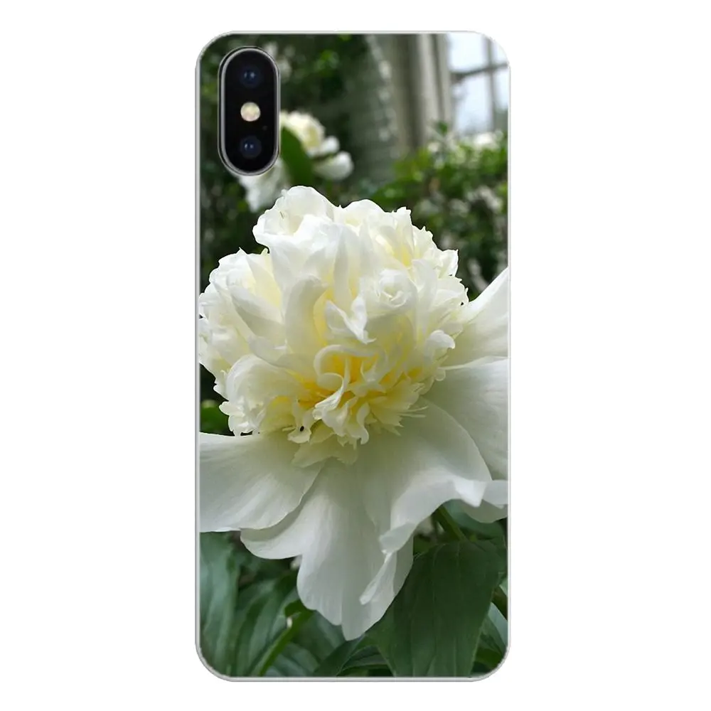 Transparent Soft Shell Covers Sweet peony White flowers For Samsung Galaxy Note 8 9 S9 S10 A8 A9 Star Lite Plus A6S A9S |