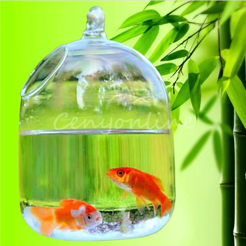 Hanging glass vase hydroponic ornaments Home Decoration 16x10cm|vase ornaments|hanging glasshanging |