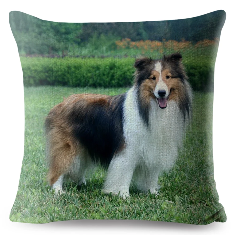 Sheltie Dog Loyal Shetland Sheepdog Print Throw Pillow Cover 45*45 Square Cushion Linen Pillows Case Home Decor Pillowcase |