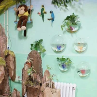 acrylic fish bowl wall hanging aquarium tank aquatic pet supplies pets product wall mount pot plant vase mounted home decoration