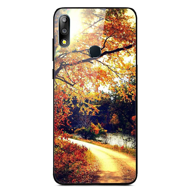 09 Чехол из закаленного стекла для Asus Zenfone Max Pro M2 ZB631KL, Мягкий бампер с принтом, чехол для Asus ZB631KL, стеклянный чехол с изображением животных и цветов - Цвет: 09