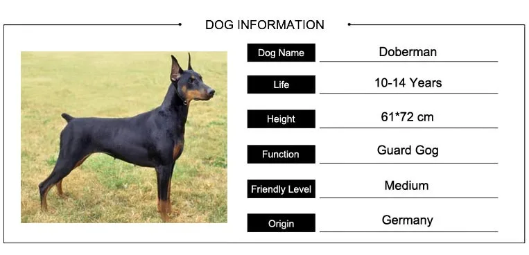 Модные подвески с собаками ювелирные изделия Doberman профиль подвески