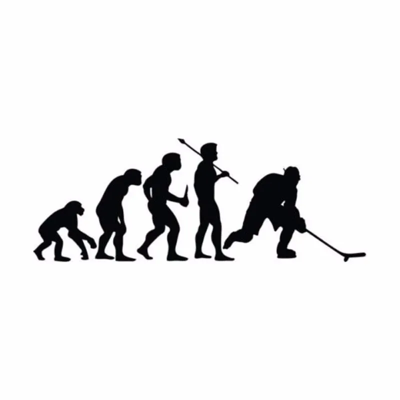 Sports evolution