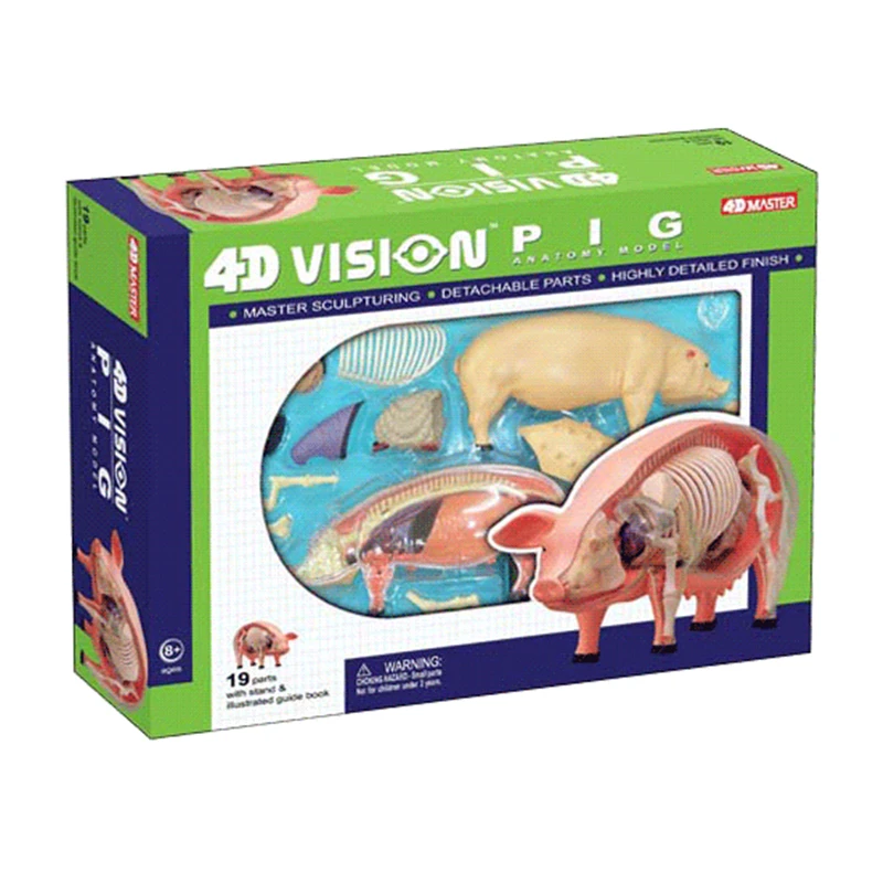 

Pig 4d master puzzle Assembling toy Animal Biology organ anatomical model medical teaching model