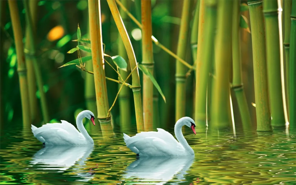 Настроить 3d занавески Лебедь Bamboo звуконепроницаемые шторы фото плотные для