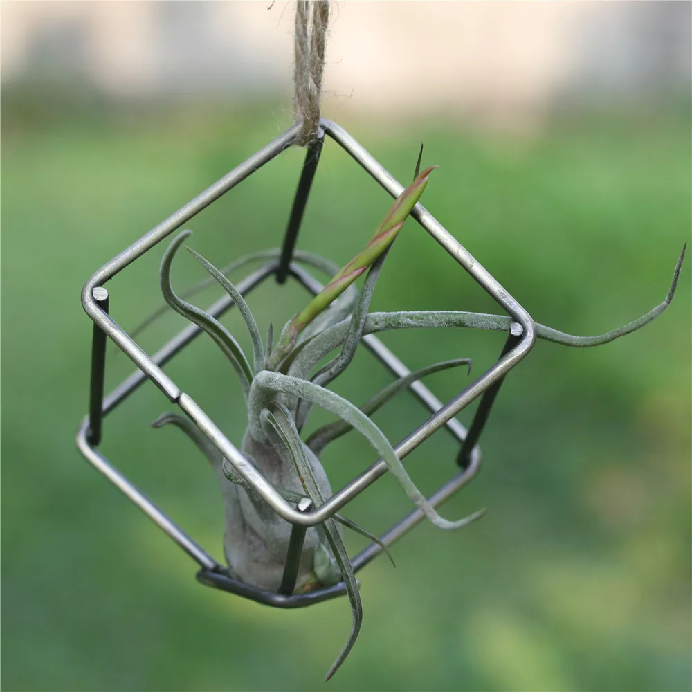 Креативный современный стиль Садоводство суккулентный подвесной Плантатор