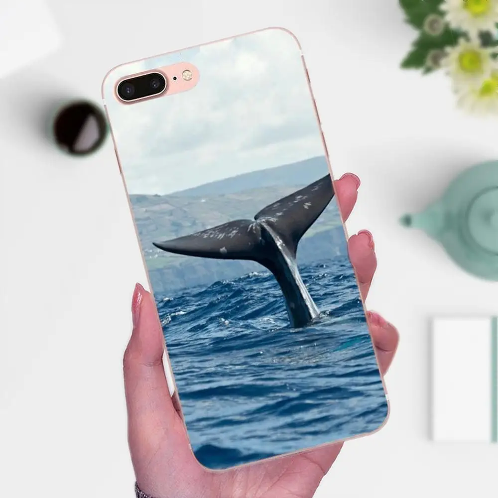 Мягкий ТПУ чехол Забавный КИТ для Huawei Mate 7 8 9 10 20 P8 P9 P10 P20 P30 Lite Plus Pro 2017 | Мобильные