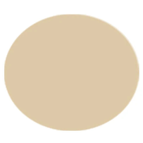 light skin color Натуральная Аэрограф, Косметика для макияжа, основа для макияжа, профессиональная основа для консилера, основа для лица, красота, сделай сам, краска для лица, румяна, тени для век - Цвет: light skin color