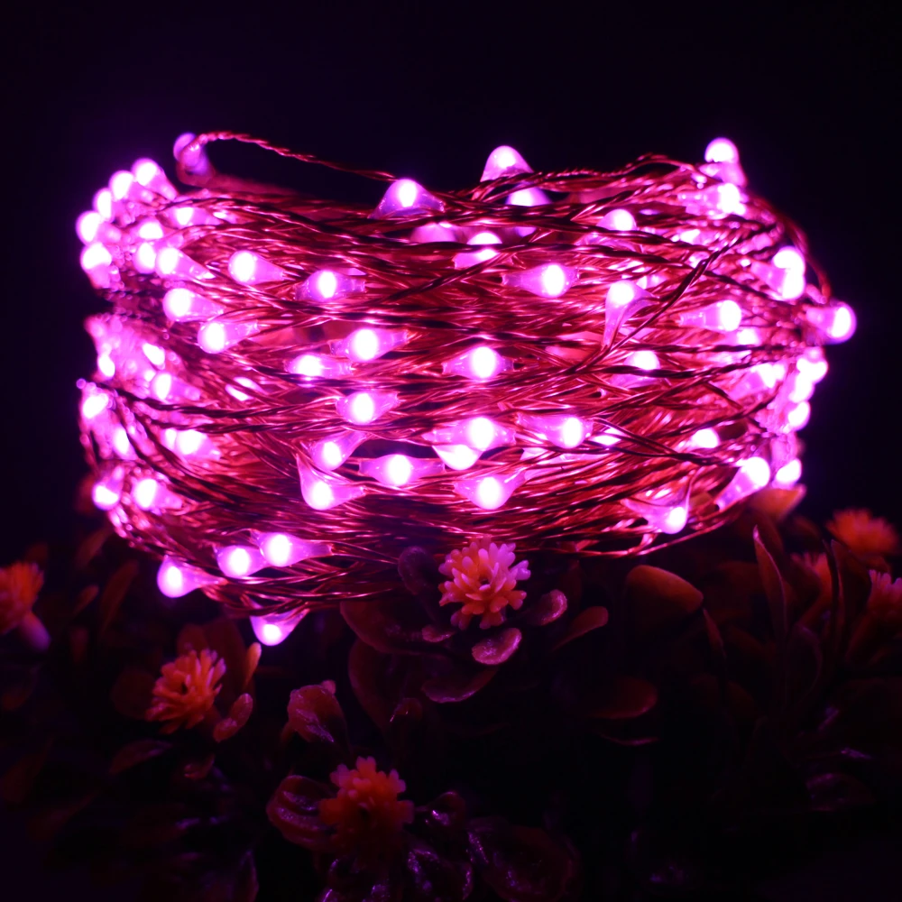 33FT 10 м 100LED медный провод светодиодные гирлянды с 12В 1А адаптер светодиодный