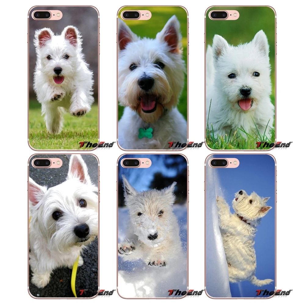 Чехол для iPhone X 4 4S 5 5S 5C SE 6 6S 7 8 Plus Samsung Galaxy J1 J3 J5 J7 A3 A5 2016 2017 West Highland White Terrier Dog|dog case|case