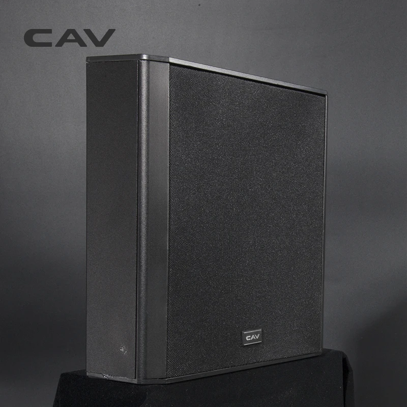 Настенный динамик CAV DL-5 специализированные динамики ETON из алюминиевого сплава