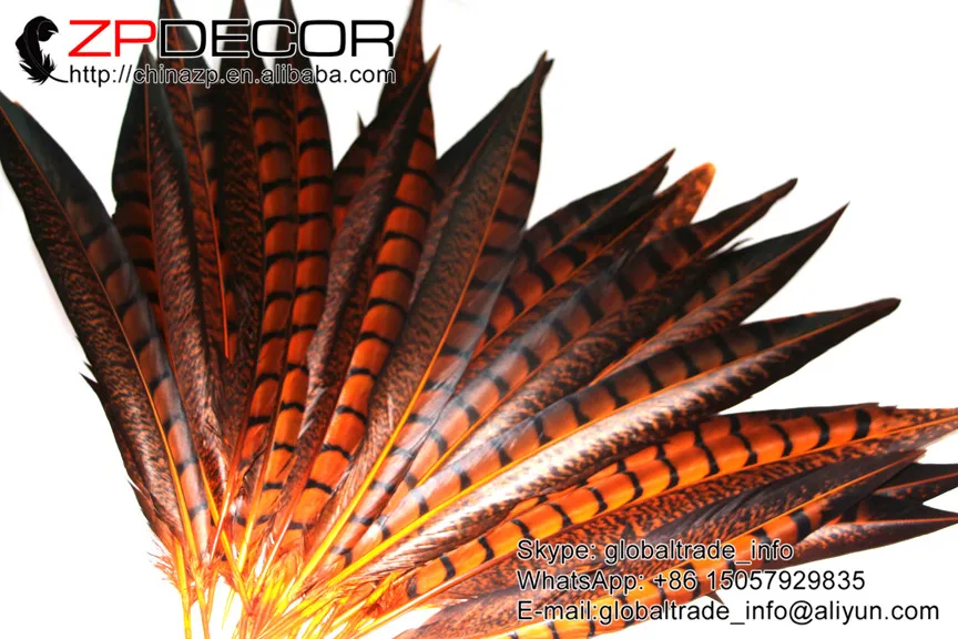 Розничная и оптовая продажа от ZPDECOR 10 12 дюймов (25 30 см) 50 шт./лот оранжевые