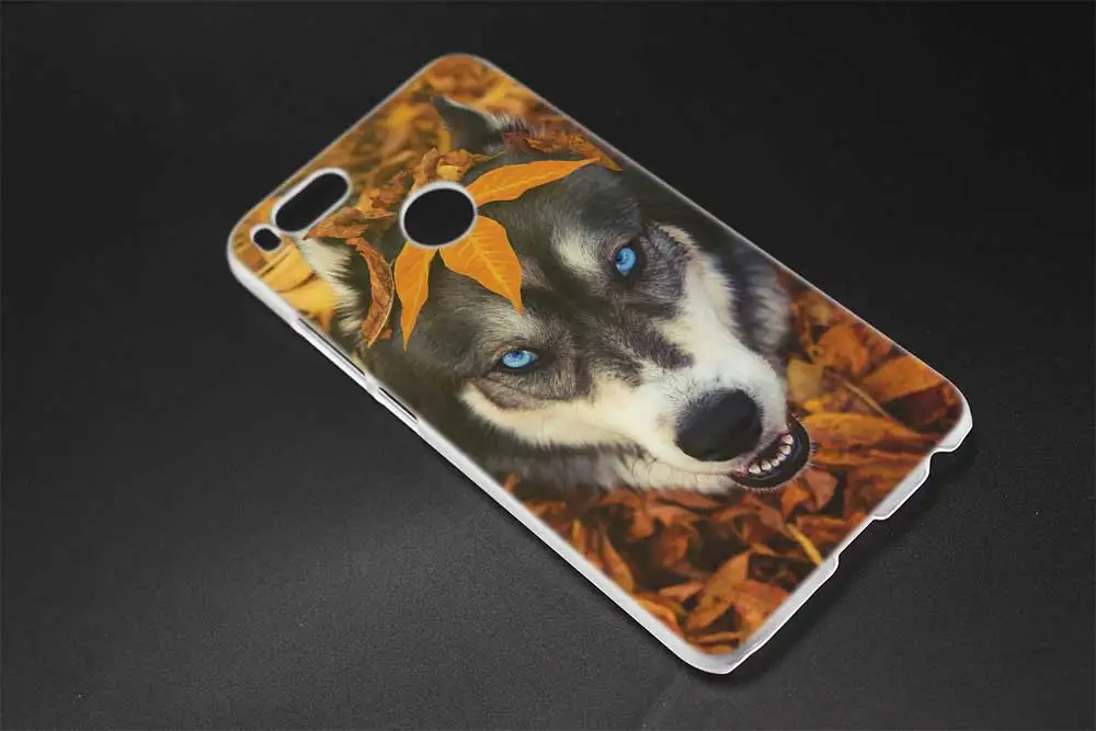 Мягкий силиконовый чехол с изображением щенка Хаски для Xiaomi redmi 9a 8a 7a 6a 5a note 9 8 7 6 Pro