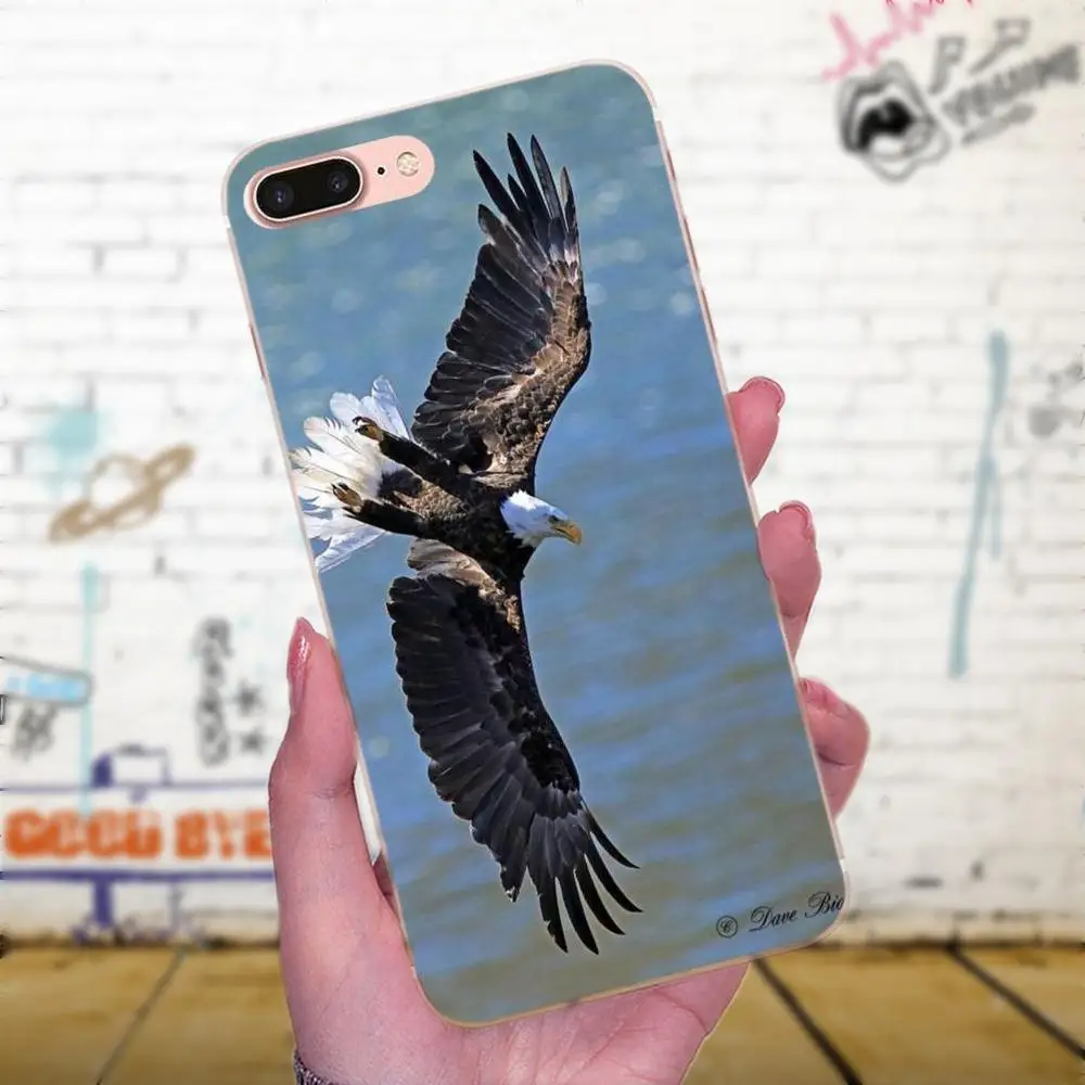 Мягкий чехол из ТПУ Eagles Flying Dominant для Apple iPhone X XS Max XR 4 4S 5 5C 5S SE 6 6S 7 8 Plus | Мобильные