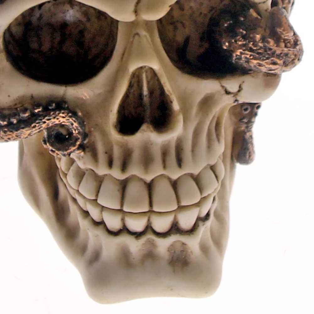 1 шт. статуэтка осьминога с черепом из бронзы|skull sculpture|skull skullskull gothic |
