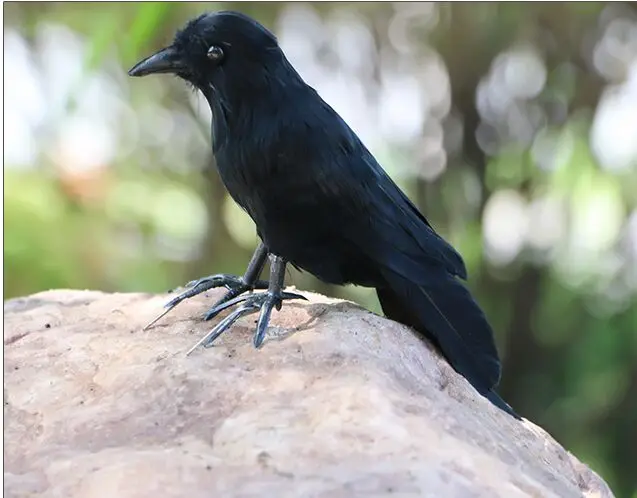 

new simulation small crow model foam&furs black bird toy gift about 18cm 3014