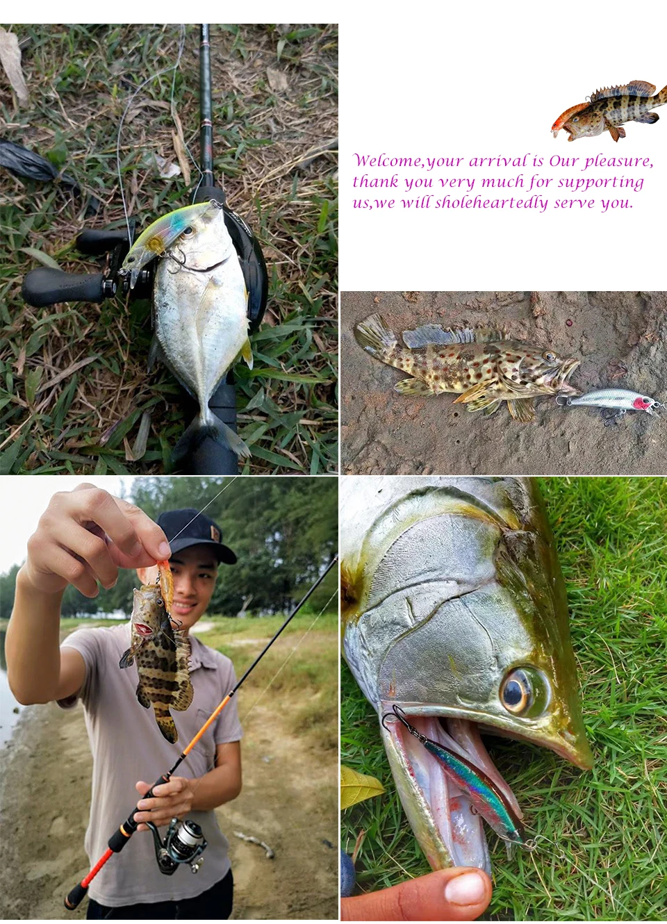 TSURINOYA DW63 7pcs 50mm 5g Sinking Minnow Hard bait Fishing Lures Mini Minnow Treble hook Artificial bait