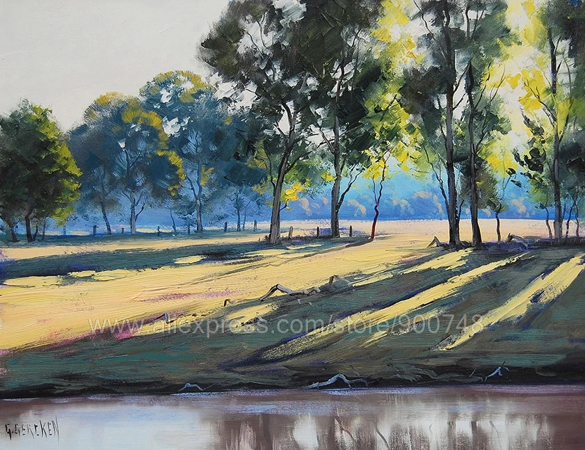 Tumut River Sunlight Nsw Австралия пейзаж Масляные картины комиссионные огромные украшения