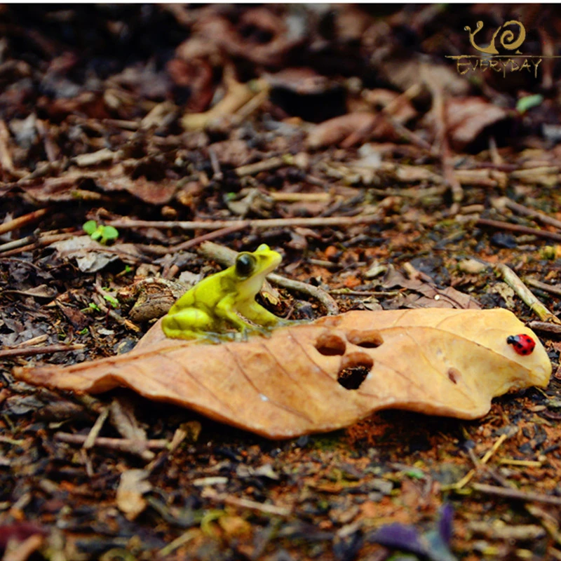 

EVERYDAY COLLECTION resin Frog craft mini polyresin animals garden miniature figurines frog on the leaf statue