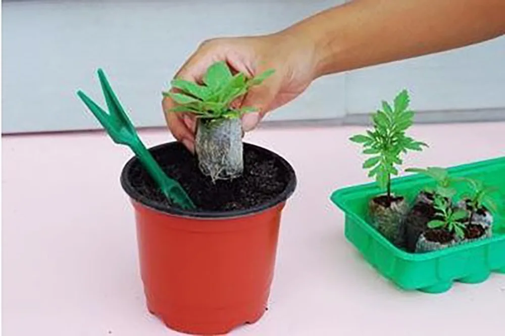 Садовые ручные инструменты цветочные наборы для сеялки Пистолетная рукоятка