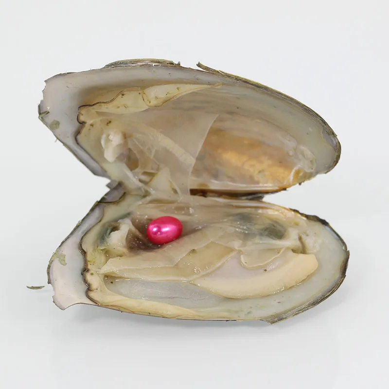 Большой Monster Freshwater Oyster One красочный Жемчуг в форме риса внутри вакуумная упаковка