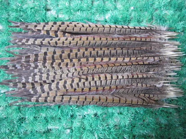 

Wholesale 100 pcs beautiful natural Pheasant Feather 14-16 inches 35-40 cm free shipping