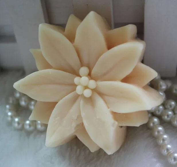 

Christmas leaf fruit Shaped soap mold silicone cake mold fondant chocolate mold handmade soap mold