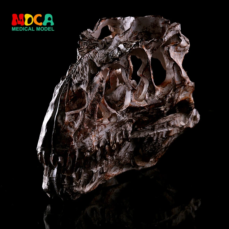 

Tyrannosaurus resin skeleton skull home Halloween gifts medical teaching aids KLGT011