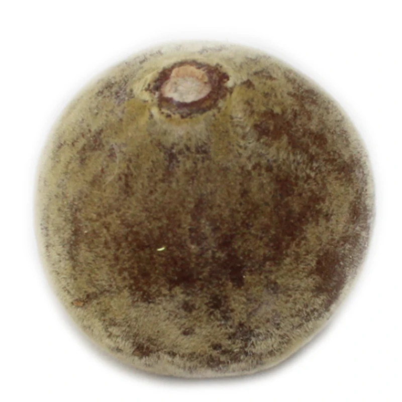 25 шт. органических и чистые натуральные сушеные фрукты травы травяной чай для