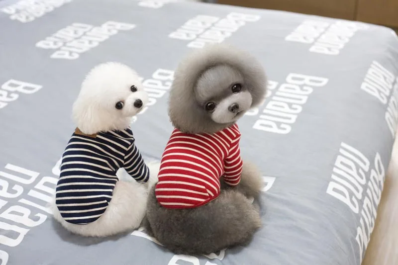 Kawaii Кошка Собака Одежда для домашних животных Чихуахуа Йоркский Мальтийский осень хлопок полосатый низ собака толстовка основной топ