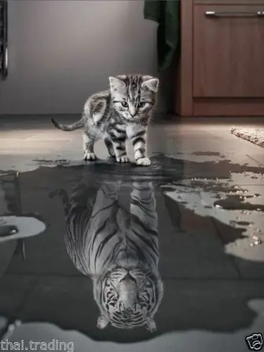 Кошка с тигром отражение животное фото Шелковый постер декоративная стена