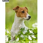 Мозаика для домашних животных, полная вышивка, собака, Джек russel, алмазная вышивка, 5d алмазная живопись, вышивка крестиком, 3D Стразы Вышивка, домашний декор