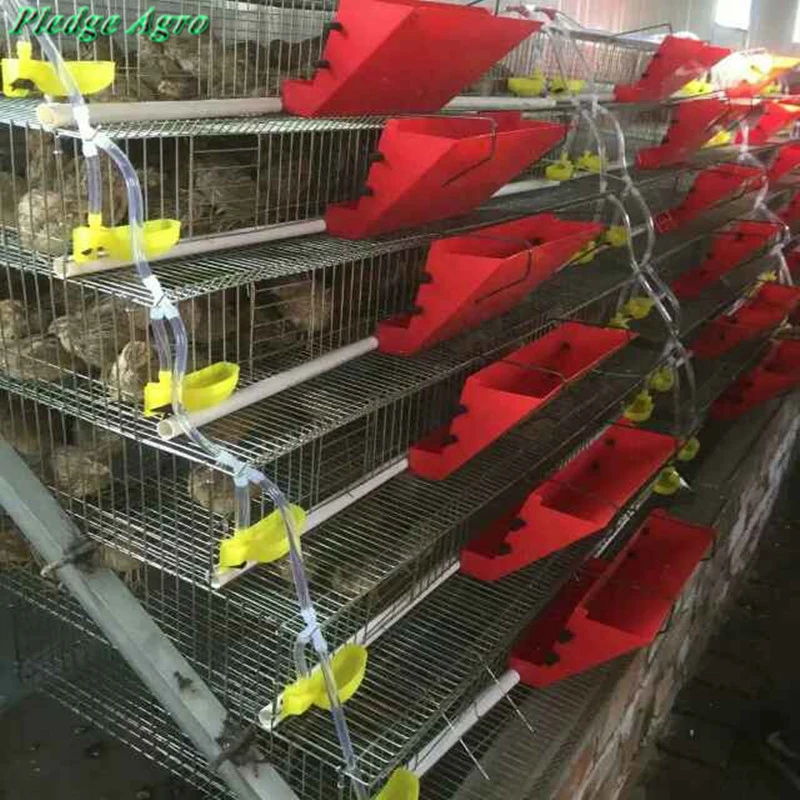 2 шт. миска для птицы аксессуары перепелок голубей клетка поилка Водоочиститель