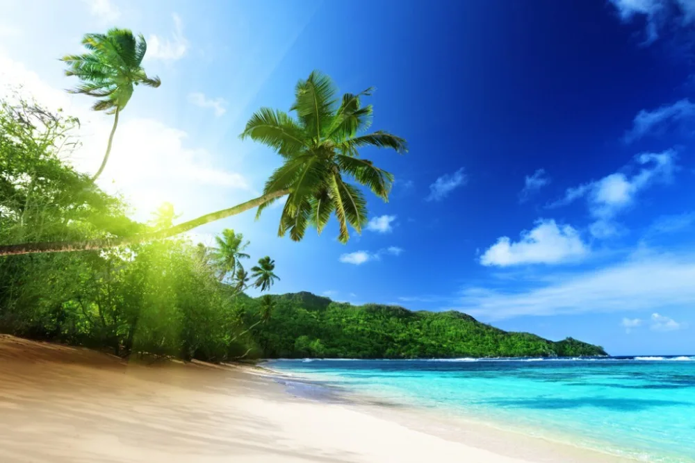 Занавеска 3 d с принтом в виде кокосовой пальмы на море | Дом и сад