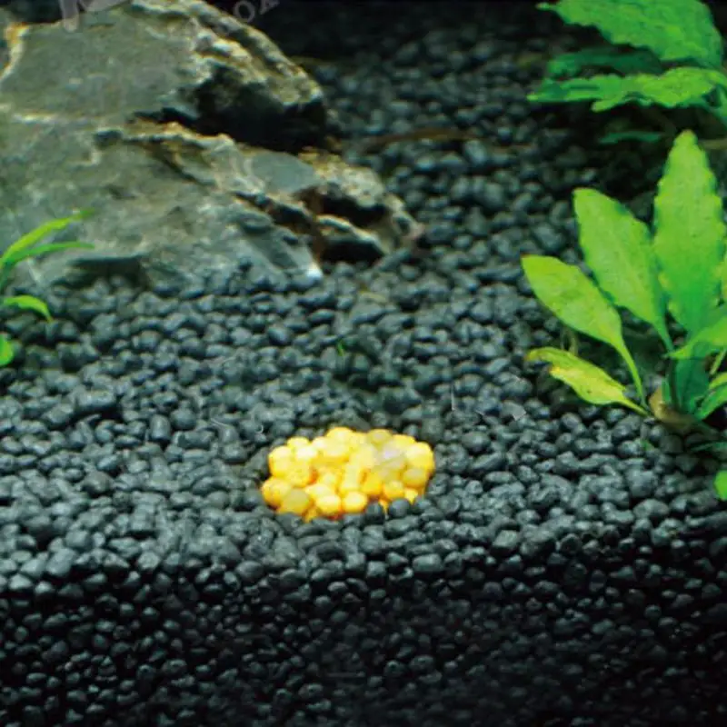 100 г аквариумные растения для воды концентрированные корневые удобрения база