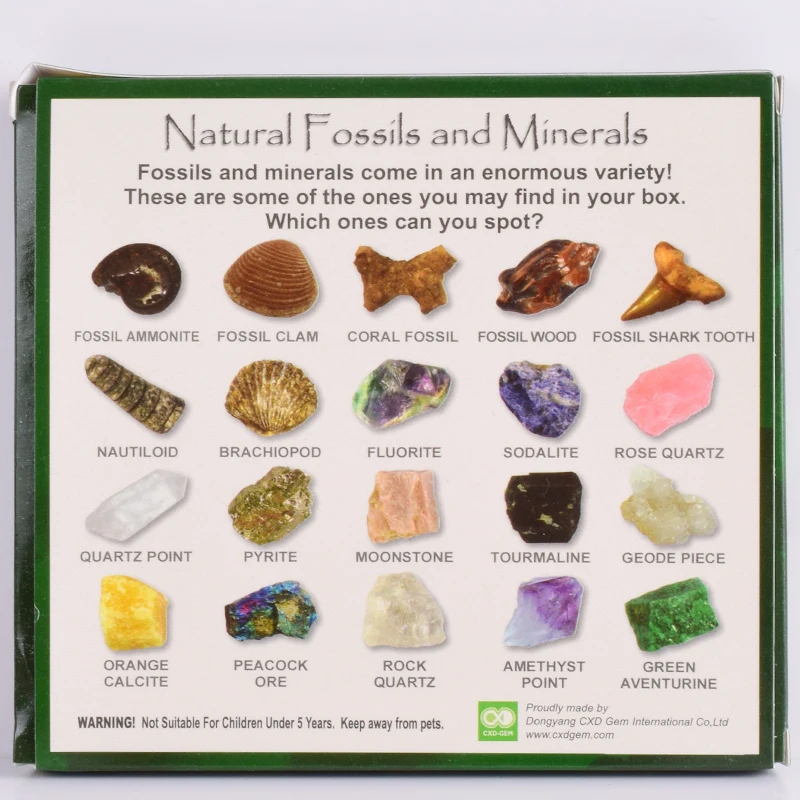 20 шт./Корд. Окаменевшая минерала образец обучающая школьная коллекция минералов