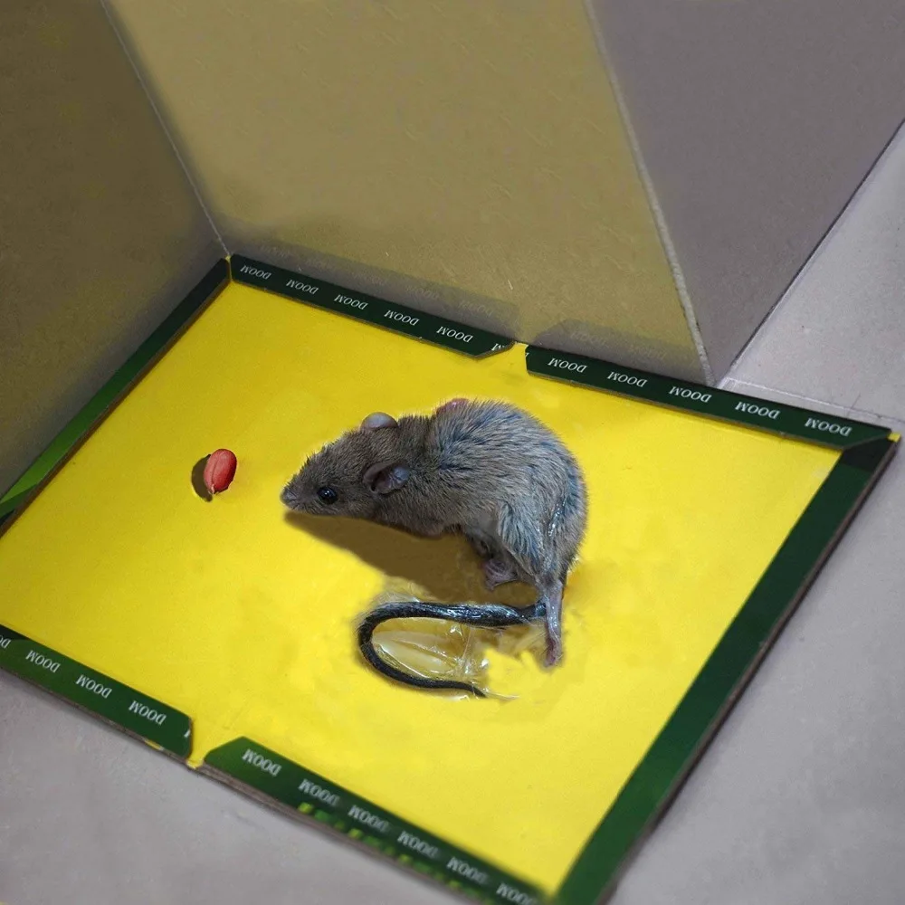 

1 PCS Mouse Glue Trap Mice Board Sticky High Effective Rodent Rat Snake Bugs Catcher Pest Control Reject Non-toxic Eco-Friendly