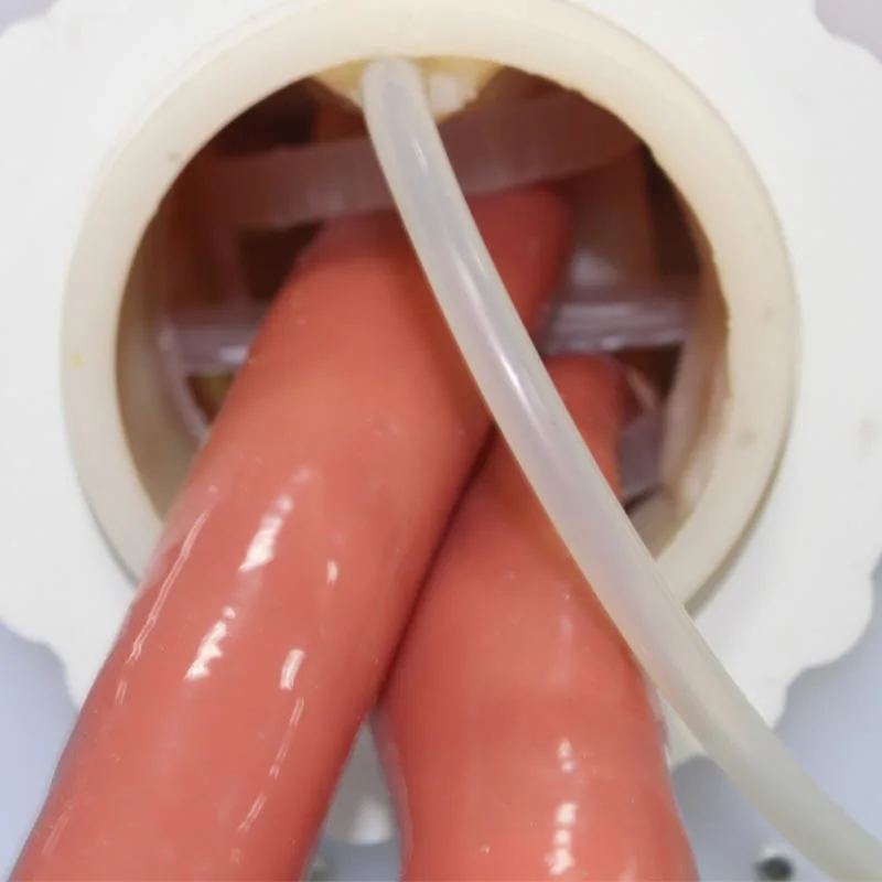 Женская модель для тренировки дыхательных путей интубации Trachea WBW359 | Канцтовары