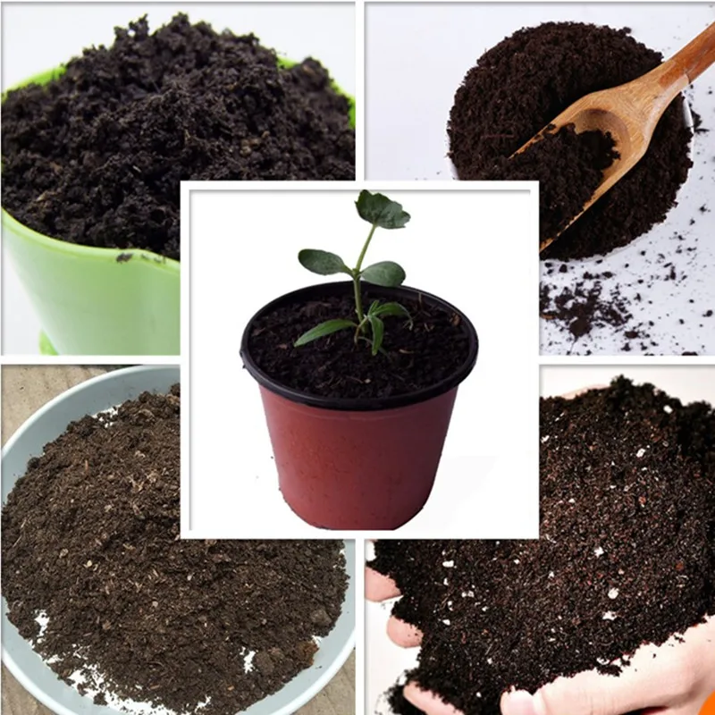 10 г суккуленты Орхидея бонсай специальная почва питательная растение